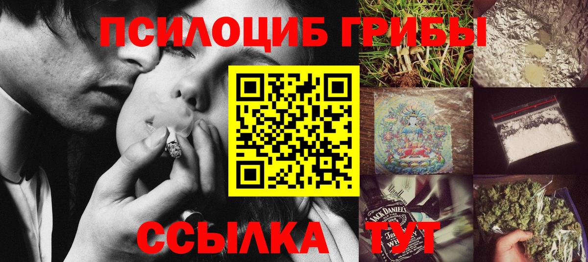 как найти наркотики  Вход с VPN  Котовск  Галлюциногенные грибы Cubensis 
